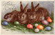 Frohe Ostern - Hase - Pasqua