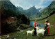 Im Alpstein - Ziegen Goat - Other & Unclassified