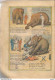 Delcampe - P2 / Old Newspaper Journal Ancien 1934 / VELOCIPEDE Visite Roi Siam / CHAMPS ELYSEES Belgique Eléphant Bd - Desde 1950