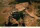 73622476 Masada Fliegeraufnahme Masada - Israel