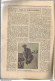 P1 / Old Newspaper Journal Ancien 1932 / SCOUT Le Réveil Stratosphère PICCARD Vétéran USA - 1950 - Oggi