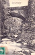 88 -  Environs De GERARDMER - Le Pont De La Vologne - Gerardmer