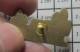 3617 Pin's Pins / Beau Et Rare / MARQUES / PIER IMPORT CACTUS - Marcas Registradas