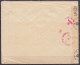 Env. Affr. N°423+426+528 Càd LINKEBEEK /19 V 1943 Pour SAINT-GENIS-LAVAL Par Lyon - Bande & Cachet Censure Allemande - 1935-1949 Small Seal Of The State
