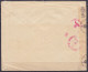 Env. Affr. N°423+426+528 Càd LINKEBEEK /19 V 1943 Pour SAINT-GENIS-LAVAL Par Lyon - Bande & Cachet Censure Allemande - 1935-1949 Piccolo Sigillo Dello Stato