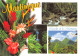 972-MARTINIQUE LES CASCADES-N° 4444-C/0141 - Altri & Non Classificati