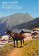 74-MORZINE MONTRIOND LES LINDARETS-N° 4444-A/0339 - Morzine