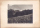 Lanțul Alpin Al Ialomiței La începutul Iernei Bucegi, Fotografie De Mihai Haret, Anii 1920 G92N - Lugares