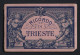 Leporello-Album Trieste Mit 12 Lithographie-Ansichten, Herpelje Bahnhof, Miramar, Municipalgebäude, Südbahnhof, Bör  - Lithografieën