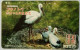Japan 105 Units - Stork Baby Birth Anniversary - Giappone