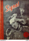 Revue Signal Ww2 1942 # 08 - 1900 - 1949