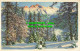 R558416 Forest. Mountains. Snow. Winter View. 171 4 - Monde