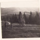 Munții Apuseni Vărășoaia Spre Cârligata, Fotografie De Emmanuel De Martonne, 1921 G80Nâ - Lieux