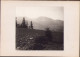 Pietrosul Văzut De Pe Povârnișul De La Borșa, Fotografie De Emmanuel De Martonne, 1921 G75N - Lugares