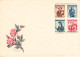 Delcampe - ÖSTERREICH - KLEINE SAMMLUNG MIT 16 BRIEFEN, KARTEN AB 1876 / 7069 - Sammlungen