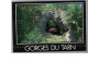 GORGES DU TARN 48 - Arche Naturelle Sur Les Bords Du Tarn Voute Sous La Roche Trou Carte Vierge - Gorges Du Tarn