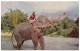ELEPHANT AND MAHOUT Au SRI LANKA - Elephants