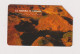 ITALY -   Grand Canyon Urmet  Phonecard - Pubbliche Ordinarie