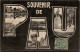 N°1367 W -cpa Souvenir De Pau - Greetings From...