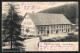 AK Neustadt / Schwarzwald, Hotel Blässinghof Von Anton Binderer  - Autres & Non Classés