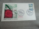 Andorre-la-Vieille - Sports D'Hiver - Enveloppe Premier Jour D'Emission - Organisations Sociales - Année 1966 - - Sci