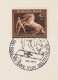 MiNr. 699 Briefstück   (0397) - Used Stamps
