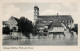 Germany Bad Sackingen Am Hochrhein Blick Auf Das Munster - Bad Säckingen