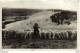 40 Au Pays Gascon N°10 Moutons Sur Les Dunes VOIR ZOOM Berger En Sabots Et Son Chien Transhumance ? VOIR DOS - Sonstige & Ohne Zuordnung