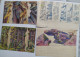 Lot 5 Dessins Gouache Projets De Décors De Theatre Arbres Rochers  De Mack Strasbourg - Drawings