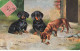 CHIEN #FG56642 TECKEL DACHSHUNG DACKEL GROUPE DE CHIENS NOIRS ET MARRONS - Dogs