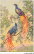 AS#BFP1-0086 - Animaux - Oiseaux - Paon - Birds