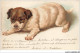 AS#BFP1-0046 - Animaux - Chien - Chiot - Dogs