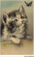 AS#BFP1-0034 - Animaux - Chat Regardant Un Papillon - Carte Gaufrée - Cats