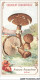 AQ#BFP3-CHROMOS-0780 - Chocolat D'Aiguebelle - Champignon - Amanite Rougéâtre, Bon - Aiguebelle