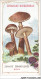 AQ#BFP3-CHROMOS-0791 - Chocolat D'Aiguebelle - Champignon - Lépioté Granuleuse, Bon - Aiguebelle