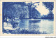 AR#BFP1-69-0667 - LYON - Lac Du Parc De La Tête D'Or - Le Coin De Pêcheurs - Lyon 1