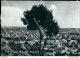 Bi165 Cartolina S.giovanni Rotondo Panorama Provincia Di Foggia - Foggia