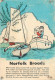 Navigation Sailing Vessels & Boats Themed Postcard Norfolk Broads - Velieri