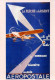 *Carte Maximum Entier Postal - Aeropostale - Neuve - Pseudo-interi Di Produzione Ufficiale