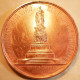 Delcampe - Russie Impériale - Médaille 1873 Inauguration Monument De Catherine II M. Mikeshin A. Semenov Ref BX24RUS01 - Autres & Non Classés