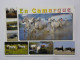 Delcampe - LA CAMARGUE (Dept 13-30) 38 Cartes A 0.20 Euros L'une - Altri & Non Classificati