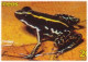 Phyllobates Lugubris Lovely Poison Frog, Hourglass Tree Frog, Blue Jeans Strawberry Poison Frog, Harmful Animal FDC - Kikkers