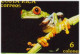 Phyllobates Lugubris Lovely Poison Frog, Hourglass Tree Frog, Blue Jeans Strawberry Poison Frog, Harmful Animal FDC - Frogs