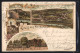 Lithographie Herrlingen, Gasthof Zum Goldenen Kreuz, Schloss Klingenstein, Panorama  - Other & Unclassified