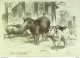 Le Monde Illustré 1872 N°805 Bohémiens Irlande Belfast Chine Fou-Tcheou Italie Palerme Algérie Oran - 1850 - 1899