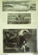 Le Monde Illustré 1872 N°818 Chelles (77) Etats-Unis Boston Fort Hile Bénédictine Distillerie Calais (62) - 1850 - 1899