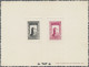 Fezzan: 1949, Definitives, 1 F - 50 F, 11 Values On 5 Collective "Epreuve De Lux - Cartas & Documentos