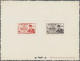 Fezzan: 1949, Definitives, 1 F - 50 F, 11 Values On 5 Collective "Epreuve De Lux - Storia Postale