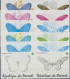 Thematics: Animals-butterflies: 1984, Burundi. Butterflies (Asterope Pechueli, P - Mariposas