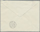 Delcampe - Liechtenstein - Dienstmarken: 1935/1936, 5 Verschiedene R-Briefe Der Regierung M - Dienstzegels